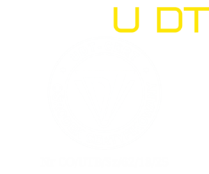 Czaju DT - ośrodek certyfikowany LOGO